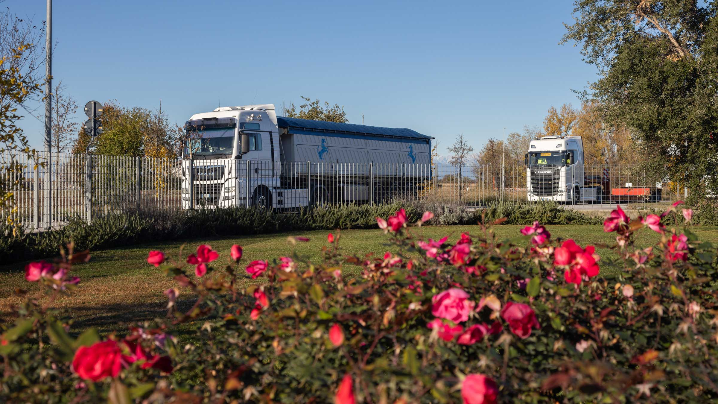 foto-vari-mezzi-rose-(4)